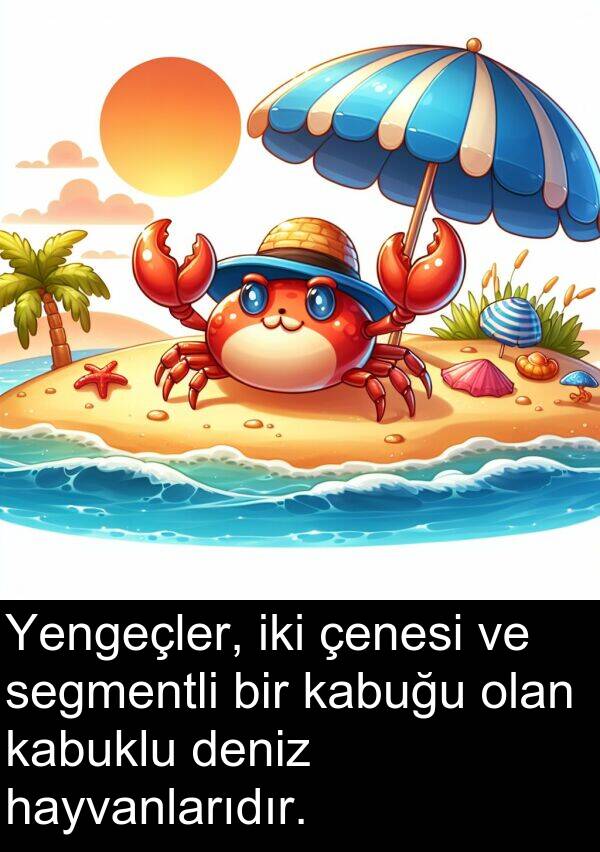 kabuğu: Yengeçler, iki çenesi ve segmentli bir kabuğu olan kabuklu deniz hayvanlarıdır.