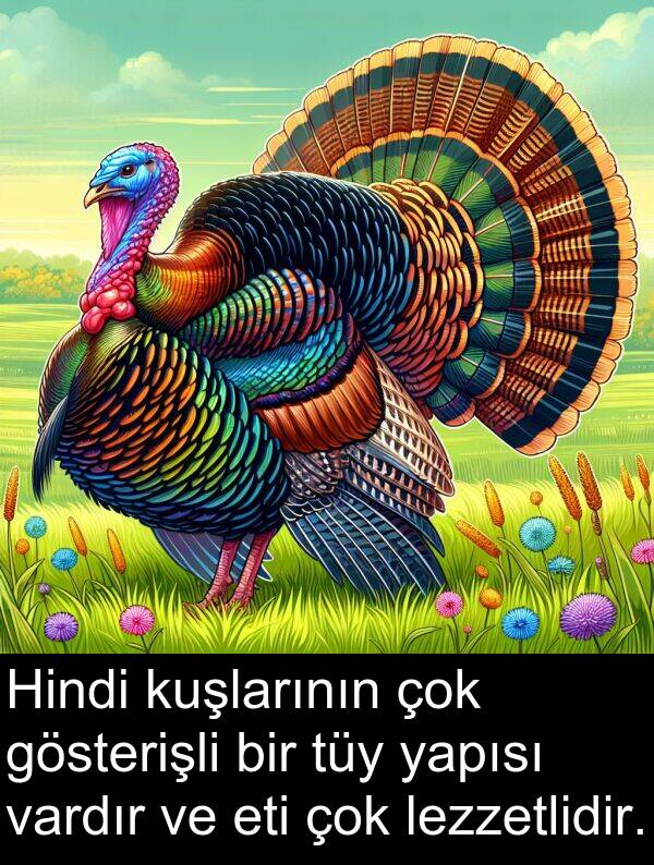 vardır: Hindi kuşlarının çok gösterişli bir tüy yapısı vardır ve eti çok lezzetlidir.