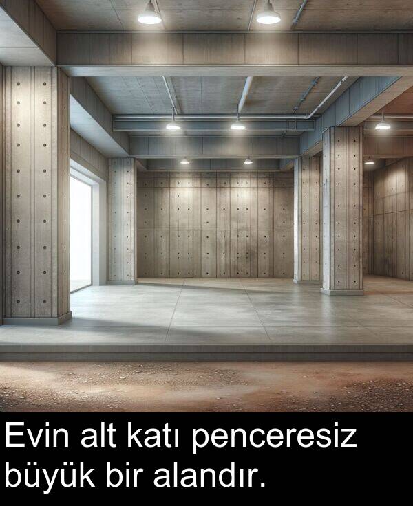 alandır: Evin alt katı penceresiz büyük bir alandır.