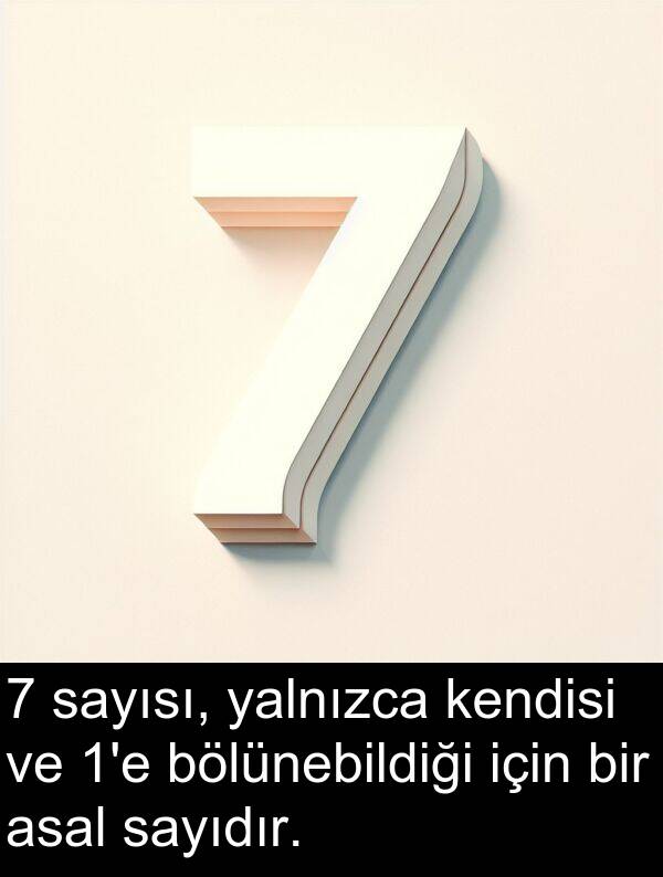 bölünebildiği: 7 sayısı, yalnızca kendisi ve 1'e bölünebildiği için bir asal sayıdır.