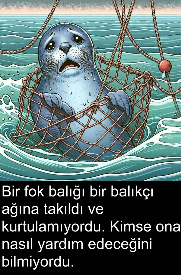 nasıl: Bir fok balığı bir balıkçı ağına takıldı ve kurtulamıyordu. Kimse ona nasıl yardım edeceğini bilmiyordu.