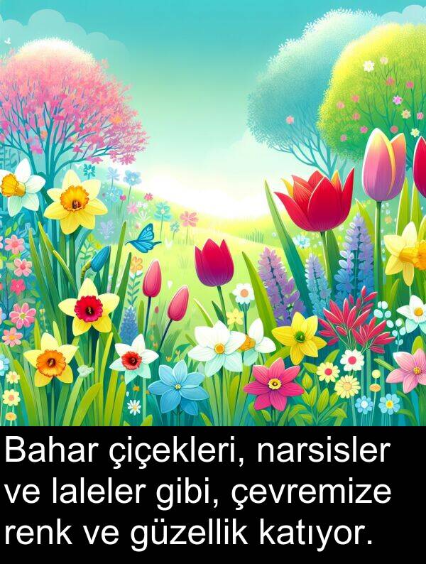 narsisler: Bahar çiçekleri, narsisler ve laleler gibi, çevremize renk ve güzellik katıyor.