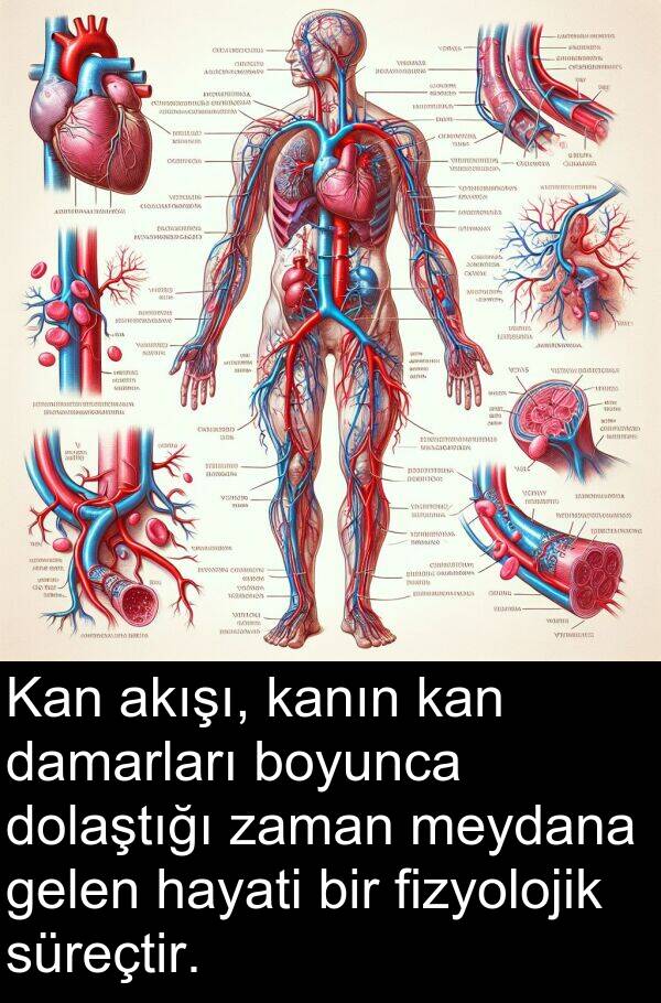 kanın: Kan akışı, kanın kan damarları boyunca dolaştığı zaman meydana gelen hayati bir fizyolojik süreçtir.