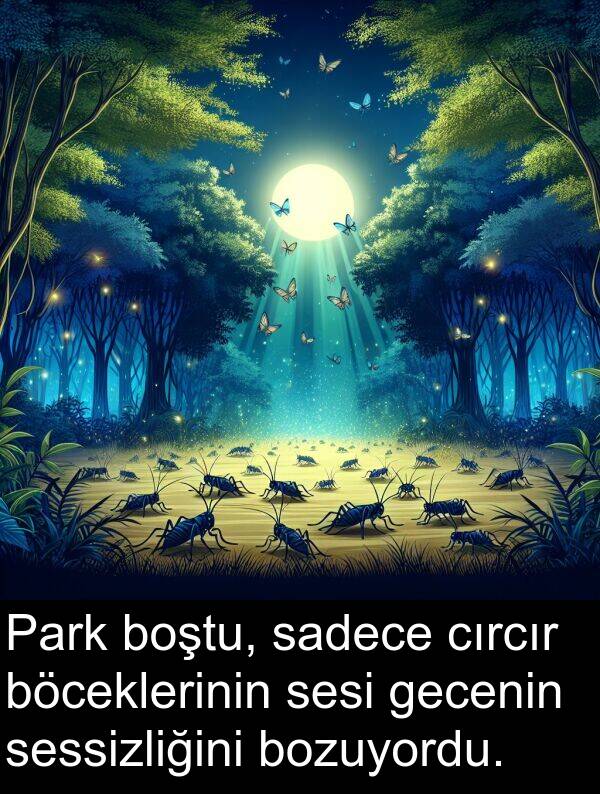 gecenin: Park boştu, sadece cırcır böceklerinin sesi gecenin sessizliğini bozuyordu.
