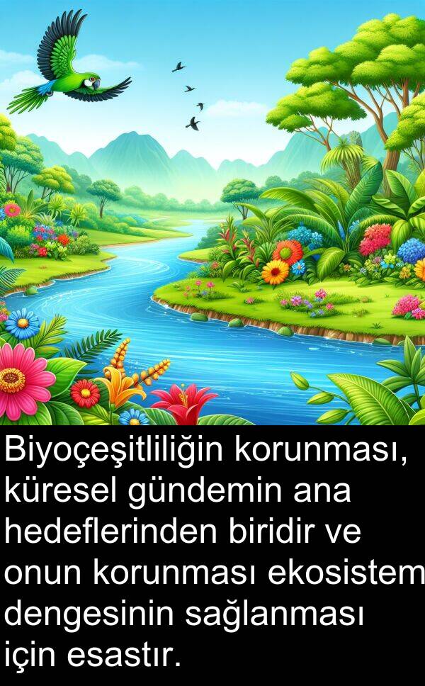 sağlanması: Biyoçeşitliliğin korunması, küresel gündemin ana hedeflerinden biridir ve onun korunması ekosistem dengesinin sağlanması için esastır.