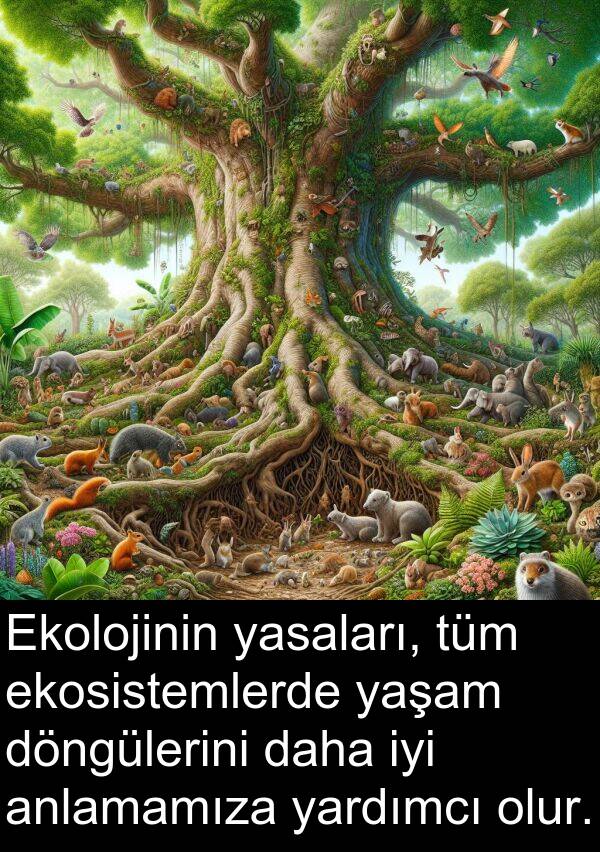 yaşam: Ekolojinin yasaları, tüm ekosistemlerde yaşam döngülerini daha iyi anlamamıza yardımcı olur.