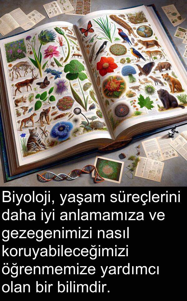 nasıl: Biyoloji, yaşam süreçlerini daha iyi anlamamıza ve gezegenimizi nasıl koruyabileceğimizi öğrenmemize yardımcı olan bir bilimdir.