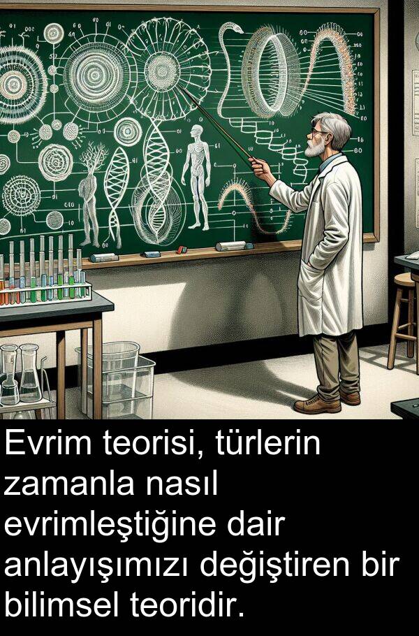 nasıl: Evrim teorisi, türlerin zamanla nasıl evrimleştiğine dair anlayışımızı değiştiren bir bilimsel teoridir.
