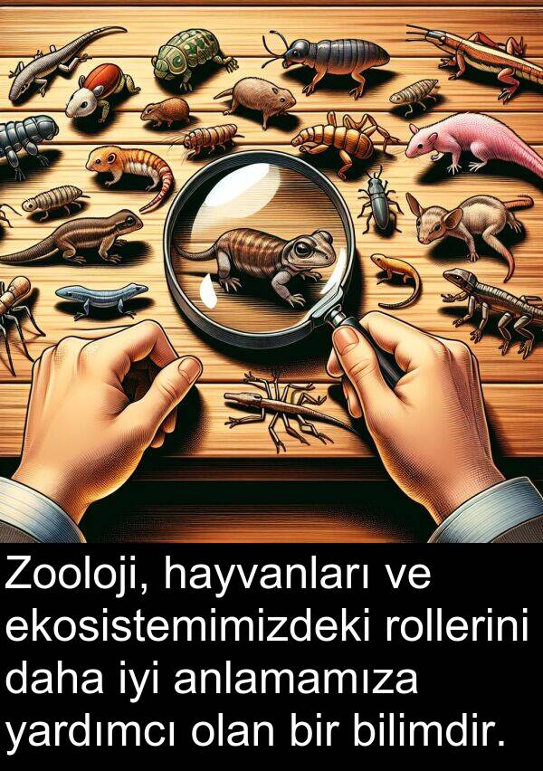 hayvanları: Zooloji, hayvanları ve ekosistemimizdeki rollerini daha iyi anlamamıza yardımcı olan bir bilimdir.