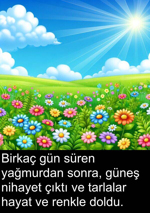 yağmurdan: Birkaç gün süren yağmurdan sonra, güneş nihayet çıktı ve tarlalar hayat ve renkle doldu.