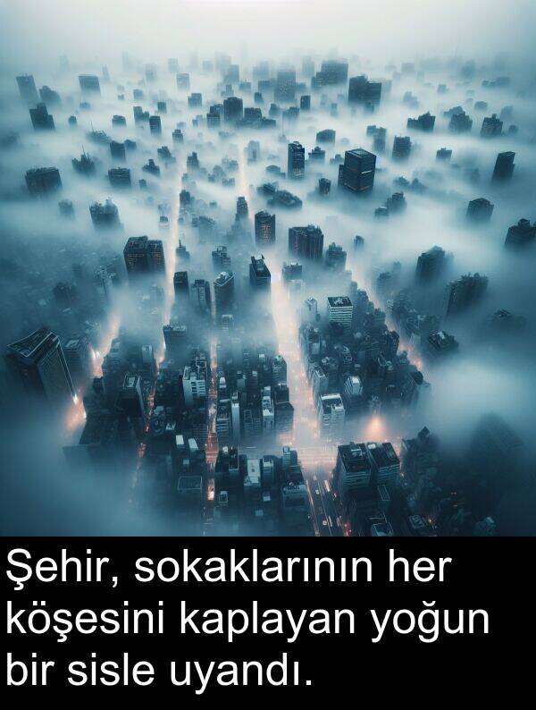 kaplayan: Şehir, sokaklarının her köşesini kaplayan yoğun bir sisle uyandı.