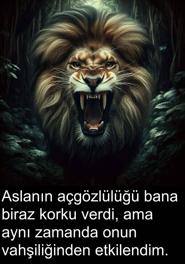 vahşiliğinden: Aslanın açgözlülüğü bana biraz korku verdi, ama aynı zamanda onun vahşiliğinden etkilendim.