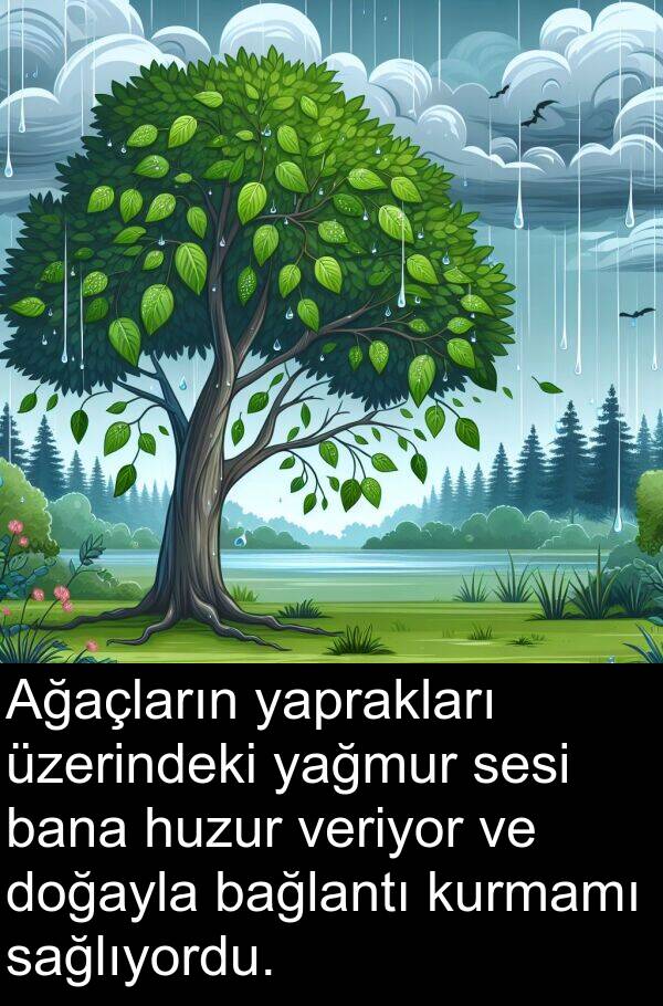 yağmur: Ağaçların yaprakları üzerindeki yağmur sesi bana huzur veriyor ve doğayla bağlantı kurmamı sağlıyordu.