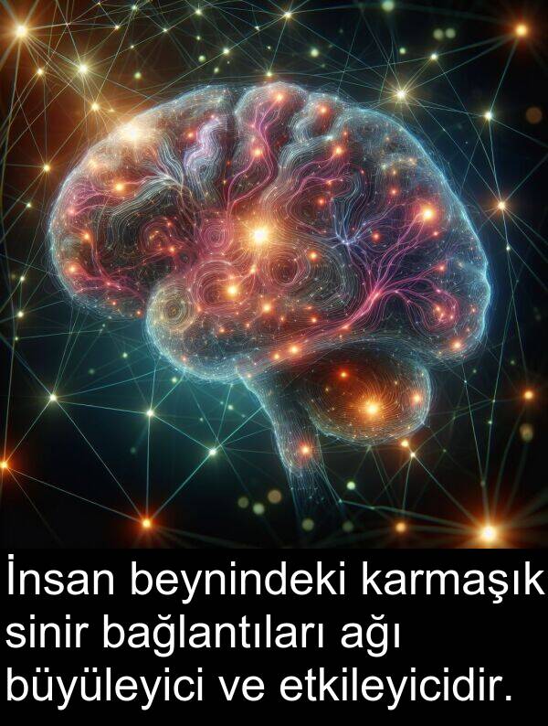 ağı: İnsan beynindeki karmaşık sinir bağlantıları ağı büyüleyici ve etkileyicidir.