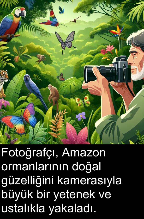 ustalıkla: Fotoğrafçı, Amazon ormanlarının doğal güzelliğini kamerasıyla büyük bir yetenek ve ustalıkla yakaladı.