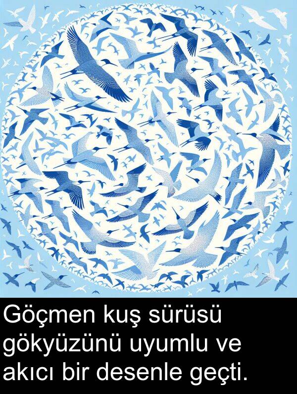 geçti: Göçmen kuş sürüsü gökyüzünü uyumlu ve akıcı bir desenle geçti.
