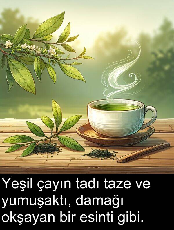 tadı: Yeşil çayın tadı taze ve yumuşaktı, damağı okşayan bir esinti gibi.