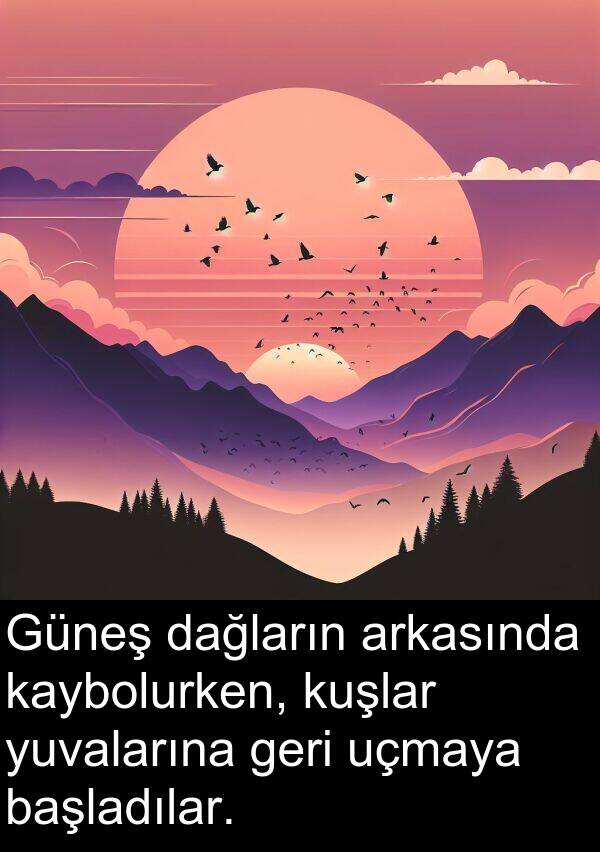 uçmaya: Güneş dağların arkasında kaybolurken, kuşlar yuvalarına geri uçmaya başladılar.