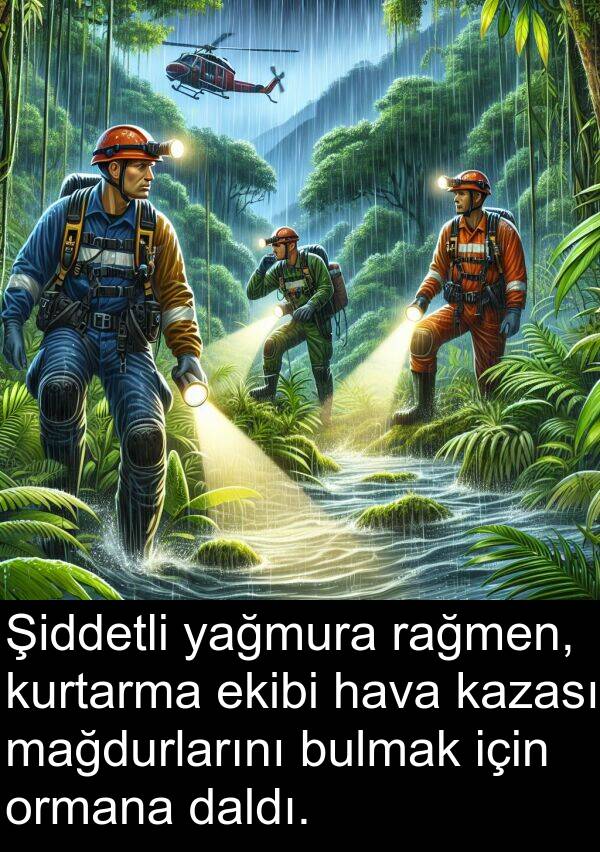 yağmura: Şiddetli yağmura rağmen, kurtarma ekibi hava kazası mağdurlarını bulmak için ormana daldı.