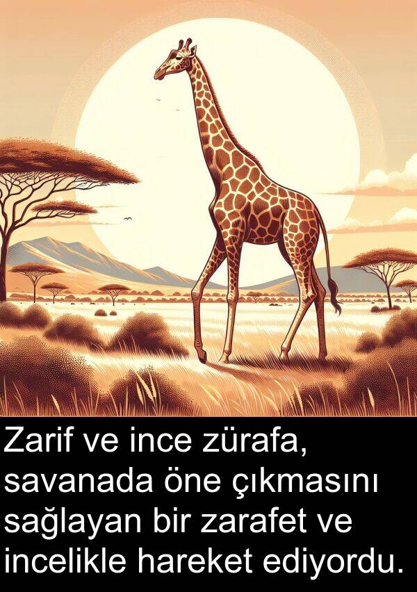 zürafa: Zarif ve ince zürafa, savanada öne çıkmasını sağlayan bir zarafet ve incelikle hareket ediyordu.