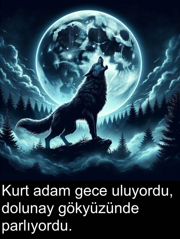 gece: Kurt adam gece uluyordu, dolunay gökyüzünde parlıyordu.