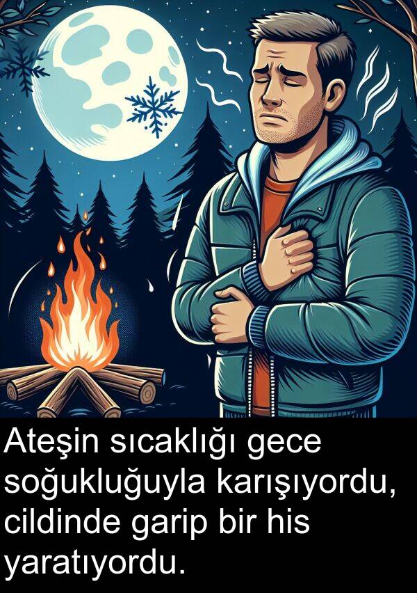 garip: Ateşin sıcaklığı gece soğukluğuyla karışıyordu, cildinde garip bir his yaratıyordu.