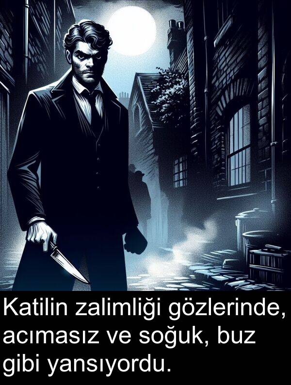 zalimliği: Katilin zalimliği gözlerinde, acımasız ve soğuk, buz gibi yansıyordu.