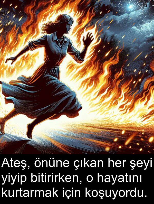 çıkan: Ateş, önüne çıkan her şeyi yiyip bitirirken, o hayatını kurtarmak için koşuyordu.