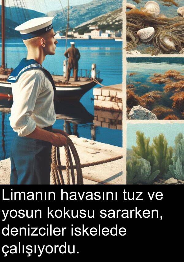 çalışıyordu: Limanın havasını tuz ve yosun kokusu sararken, denizciler iskelede çalışıyordu.