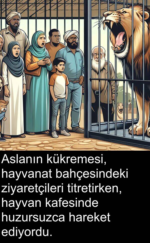 kafesinde: Aslanın kükremesi, hayvanat bahçesindeki ziyaretçileri titretirken, hayvan kafesinde huzursuzca hareket ediyordu.
