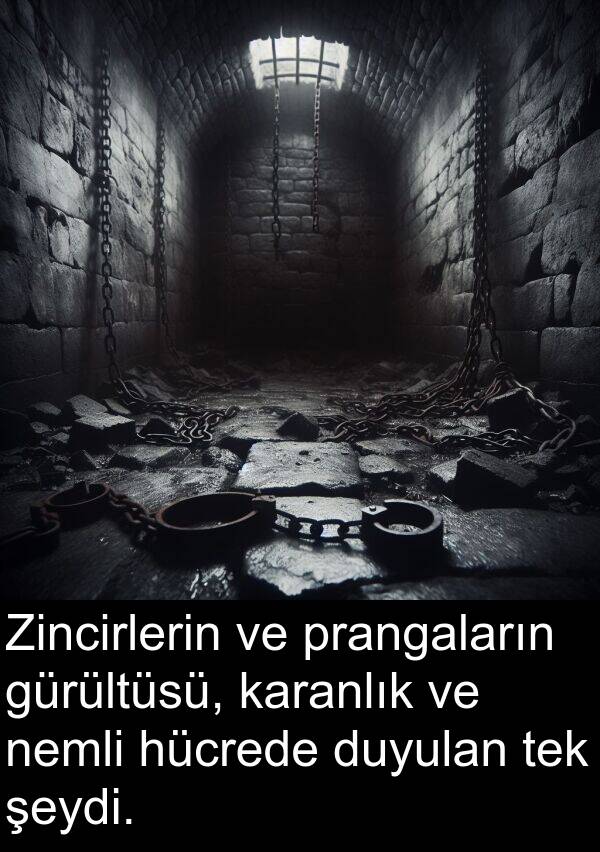 nemli: Zincirlerin ve prangaların gürültüsü, karanlık ve nemli hücrede duyulan tek şeydi.