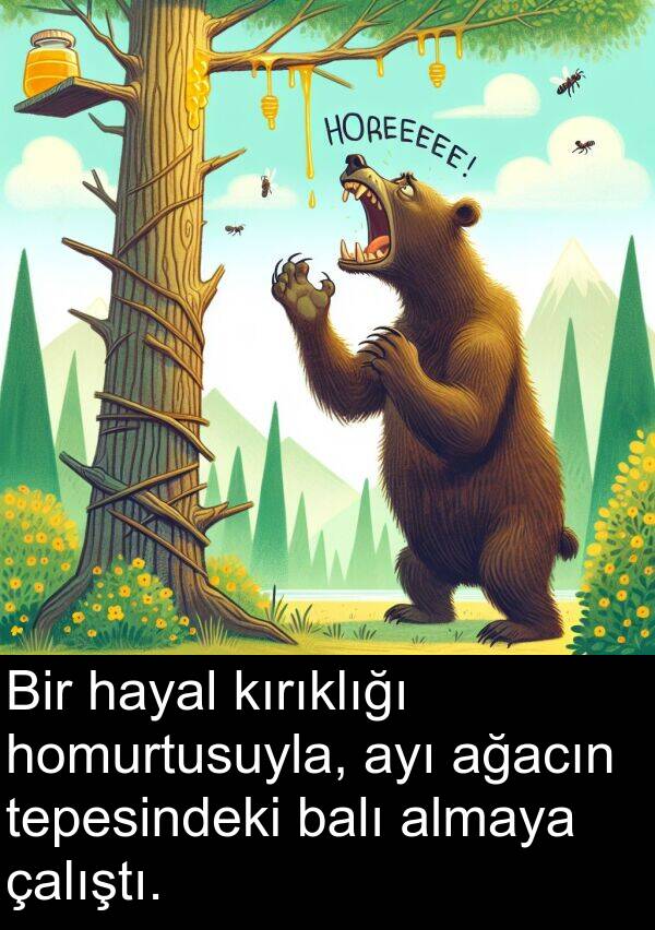 ağacın: Bir hayal kırıklığı homurtusuyla, ayı ağacın tepesindeki balı almaya çalıştı.