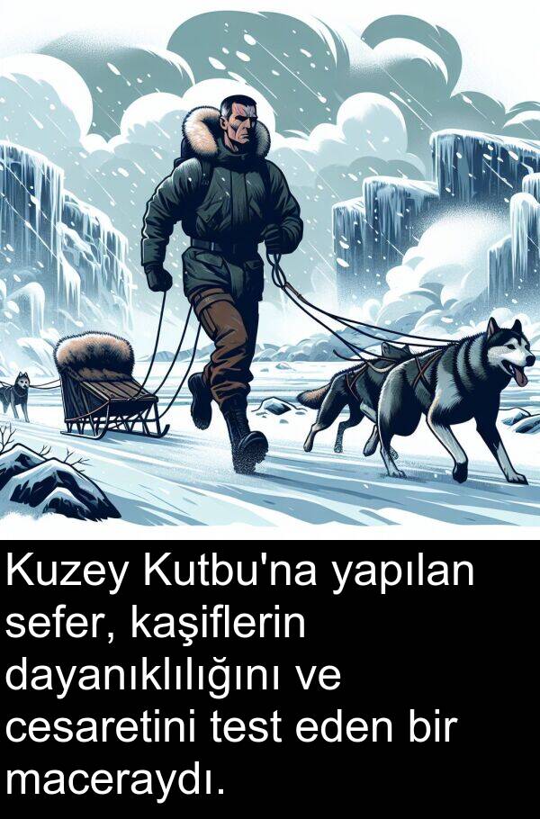 yapılan: Kuzey Kutbu'na yapılan sefer, kaşiflerin dayanıklılığını ve cesaretini test eden bir maceraydı.