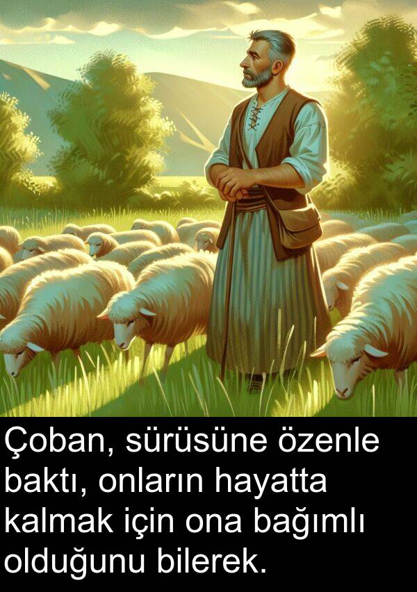 kalmak: Çoban, sürüsüne özenle baktı, onların hayatta kalmak için ona bağımlı olduğunu bilerek.