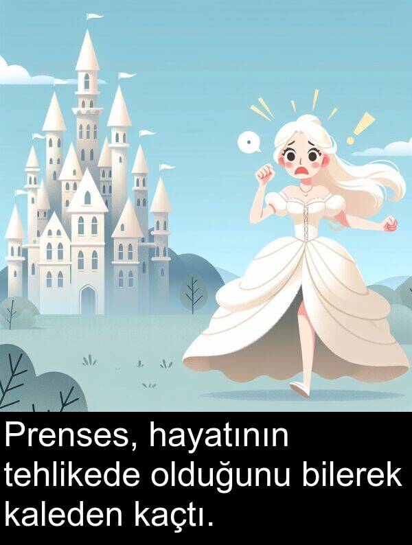 kaleden: Prenses, hayatının tehlikede olduğunu bilerek kaleden kaçtı.