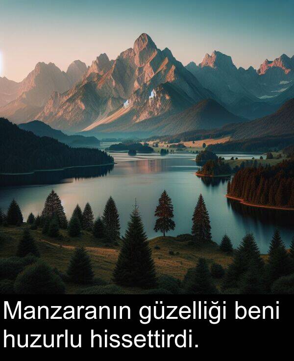 güzelliği: Manzaranın güzelliği beni huzurlu hissettirdi.