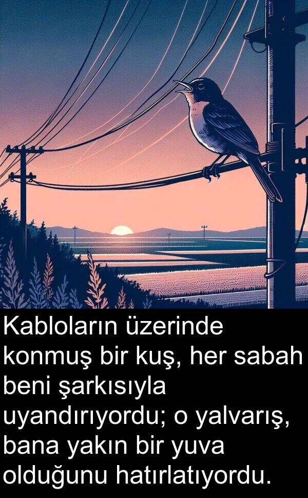uyandırıyordu: Kabloların üzerinde konmuş bir kuş, her sabah beni şarkısıyla uyandırıyordu; o yalvarış, bana yakın bir yuva olduğunu hatırlatıyordu.
