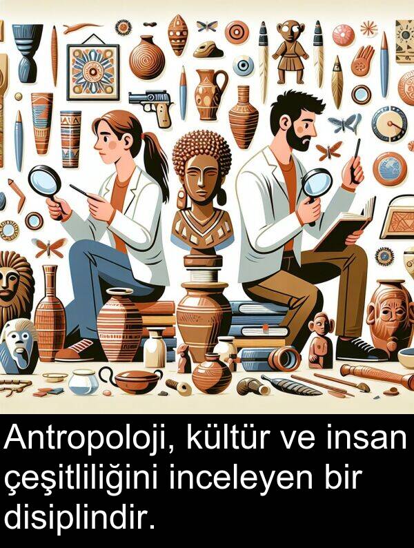 inceleyen: Antropoloji, kültür ve insan çeşitliliğini inceleyen bir disiplindir.