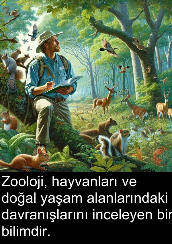 hayvanları: Zooloji, hayvanları ve doğal yaşam alanlarındaki davranışlarını inceleyen bir bilimdir.