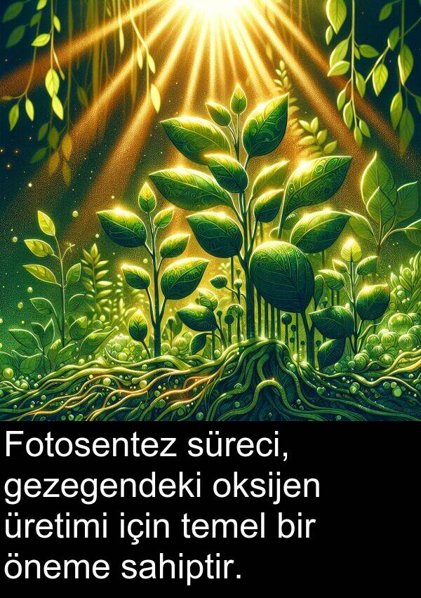 sahiptir: Fotosentez süreci, gezegendeki oksijen üretimi için temel bir öneme sahiptir.