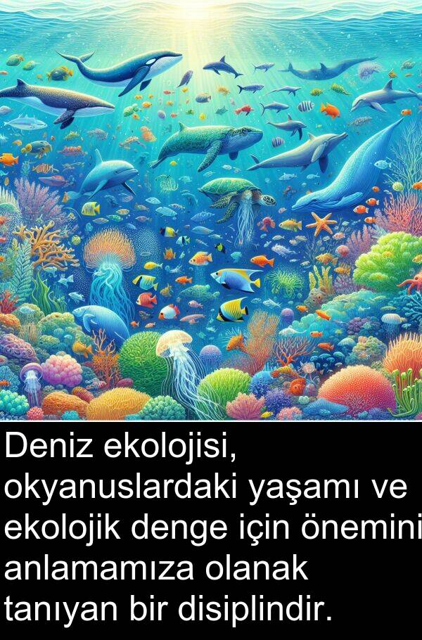 ekolojisi: Deniz ekolojisi, okyanuslardaki yaşamı ve ekolojik denge için önemini anlamamıza olanak tanıyan bir disiplindir.