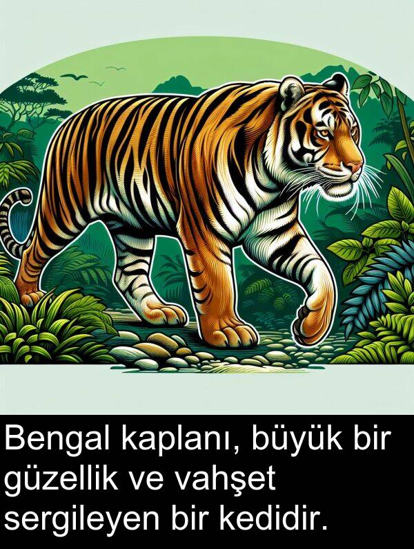 kaplanı: Bengal kaplanı, büyük bir güzellik ve vahşet sergileyen bir kedidir.
