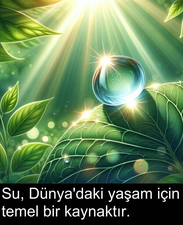yaşam: Su, Dünya'daki yaşam için temel bir kaynaktır.