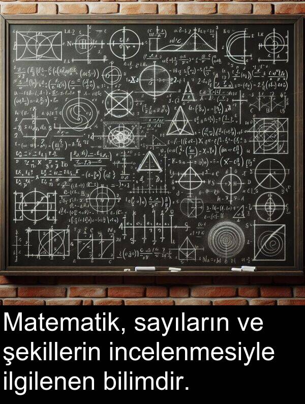 incelenmesiyle: Matematik, sayıların ve şekillerin incelenmesiyle ilgilenen bilimdir.