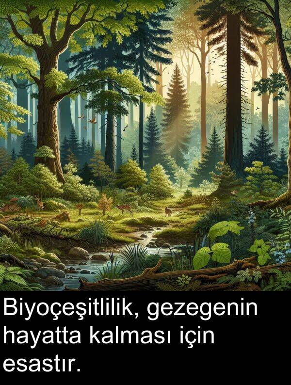 kalması: Biyoçeşitlilik, gezegenin hayatta kalması için esastır.