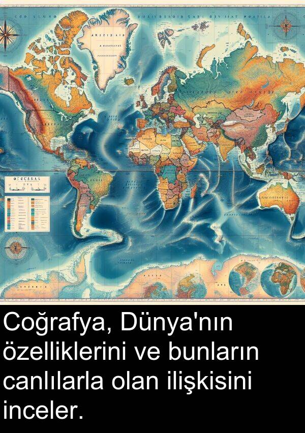 ilişkisini: Coğrafya, Dünya'nın özelliklerini ve bunların canlılarla olan ilişkisini inceler.