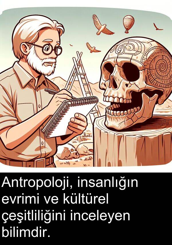inceleyen: Antropoloji, insanlığın evrimi ve kültürel çeşitliliğini inceleyen bilimdir.