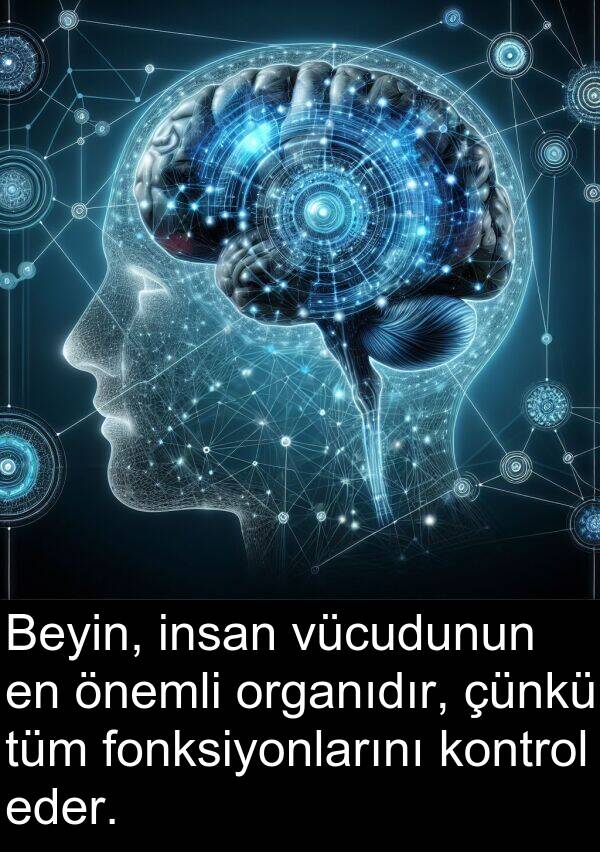 fonksiyonlarını: Beyin, insan vücudunun en önemli organıdır, çünkü tüm fonksiyonlarını kontrol eder.