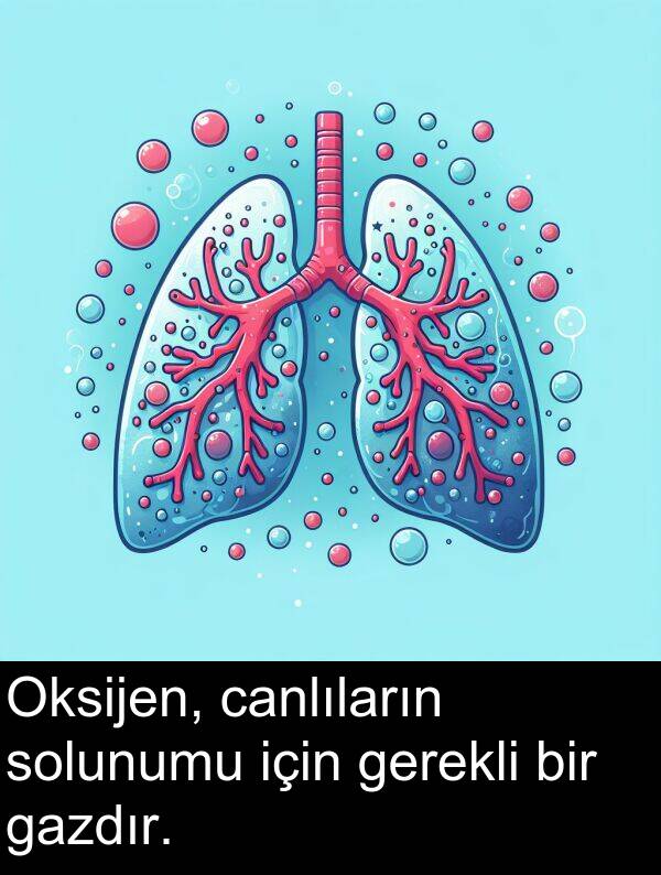 gerekli: Oksijen, canlıların solunumu için gerekli bir gazdır.