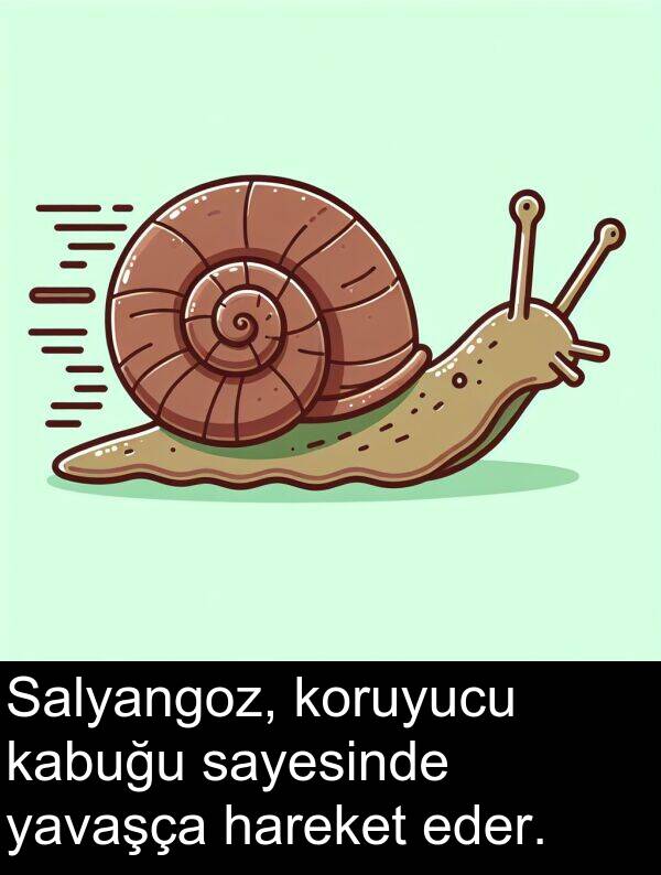 kabuğu: Salyangoz, koruyucu kabuğu sayesinde yavaşça hareket eder.